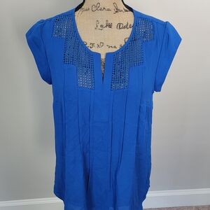 #41 NWOT Daniel Rainn blue Embroidered top